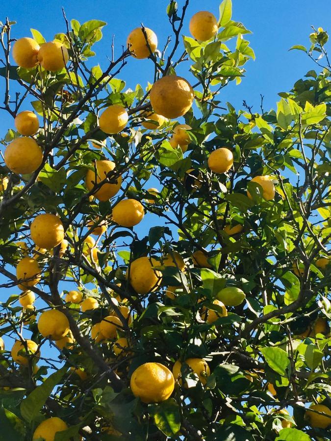 Finca Bona Nit Jávea エクステリア 写真