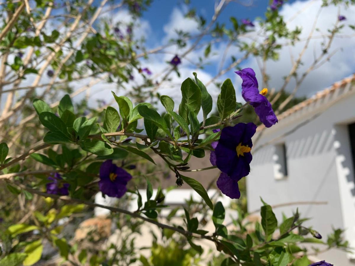 Finca Bona Nit Jávea エクステリア 写真